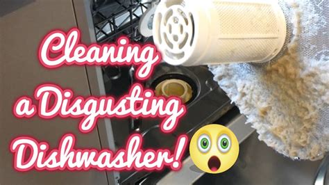Cleaning A Disgusting Dishwasher