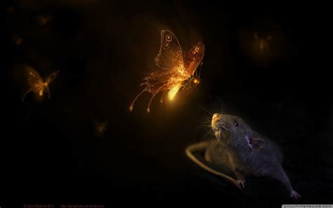 Firefly Hd Wallpapers Wallpaper Cave
