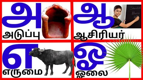 உயிர் எழுத்துக்கள்அ ஆ இ ஈ அரிச்சுவடி Learn Tamil Alphabet Letters