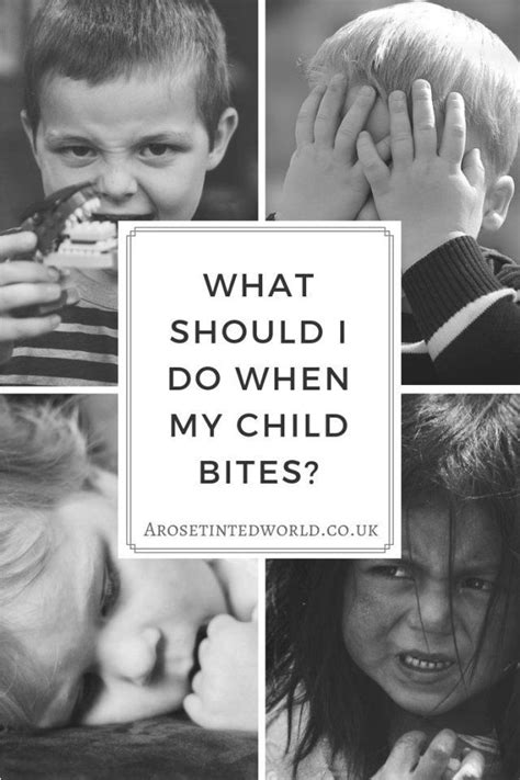 What Should I Do When My Child Bites Toddlers And Preschooler Advice