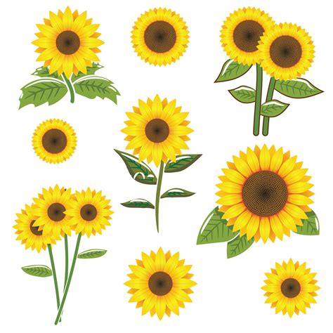 Sunflower Svg Bundle Sunflower Svg Flower Monogram Svg Etsy