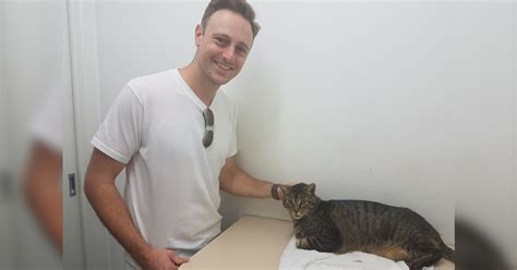 Man Finds His Missing Cat After 11 Years The Dodo