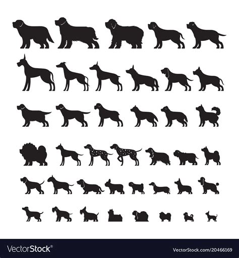 Dog Breeds Silhouette Set Royalty Free Vector Image
