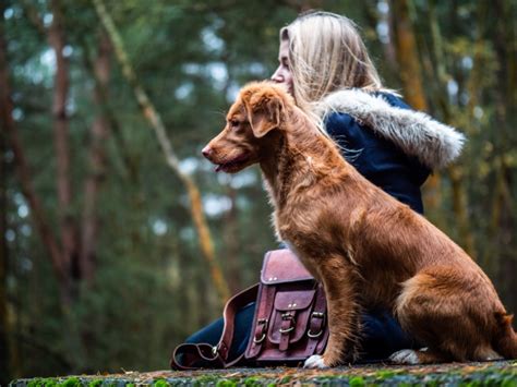 4 does my pet qualify as an esas are normally cats and dogs, but may also include cats and other common domesticated animals, like hamsters, hedgehogs, goats, rats, birds. How to get an Emotional Support Animal in Missouri - ESA ...