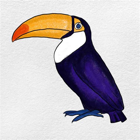 How To Draw A Toucanhow To Draw A Realistic Toucan Drawings Draw