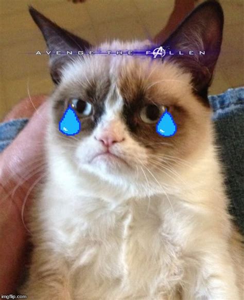 Grumpy Cat Meme Imgflip
