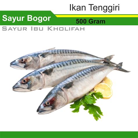 Jual Ikan Tenggiri Laut 500 Gram Pasar Online Segar Bogor Shopee