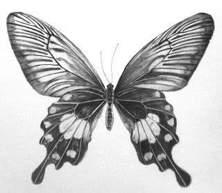 It offers information on materials and techniques, with. Butterfly Drawings In Pencil Step By Step Butterfly ...