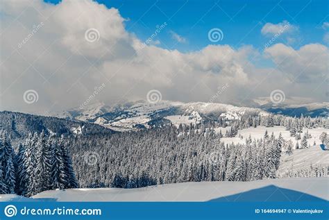 Beautiful View At Winter Mountains Landscape With Fir Trees Covered By