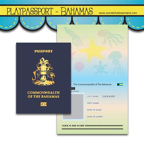 Play Passport Bahamas Invitation Template Pdf  Doc Instant Etsy