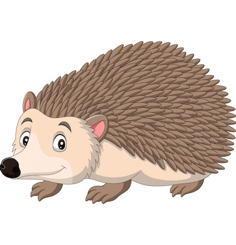 Premium Vector Cartoon Happy Hedgehog On White Background