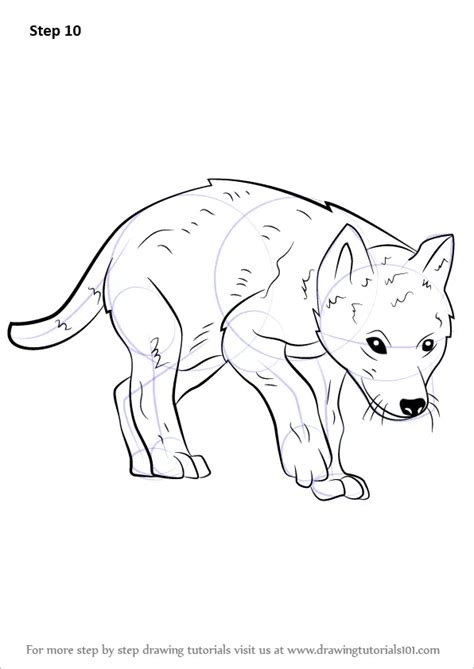 Learn How To Draw A Wolf Pup Wild Animals Step By Step Drawing