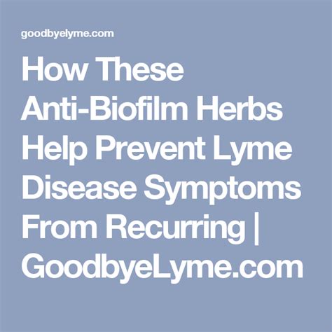 How These Anti Biofilm Herbs Help Prevent Lyme Disease Symptoms From