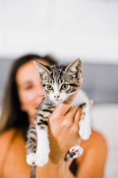 A local rescue organization or local vets may know of a lactating can you find a foster mum i.e. How to Train your Cat to Use the Liter Box | life and ...