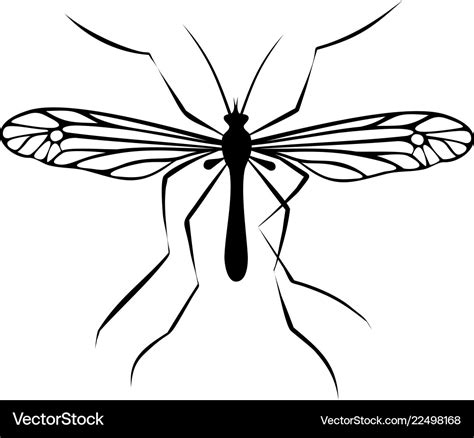 Drawing Of Mosquito Royalty Free Vector Image Vectorstock