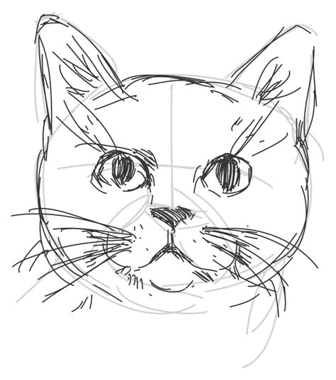 50 Easy Cat Drawing Ideas Step By Step Harunmudak