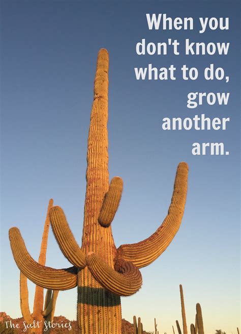 The Salt Stories Cacti Motivational Posters When You Dont Know What To Do Grow Another Arm