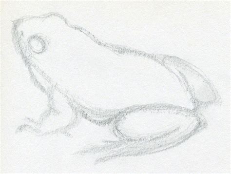 How To Draw A Frog ~ Mulberry