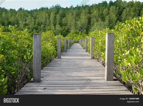 Wooden Bridge Tung Image And Photo Free Trial Bigstock