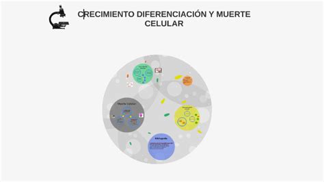 Crecimiento DiferenciaciÓn Y Muerte Celular By Carmen Gonzalez On Prezi