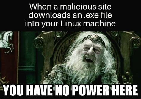 Laughs In Linux In 2020 Memes Funny Memes Linux