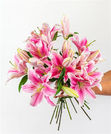 Gorgeous Bouquet Of Pink Oriental Lilies