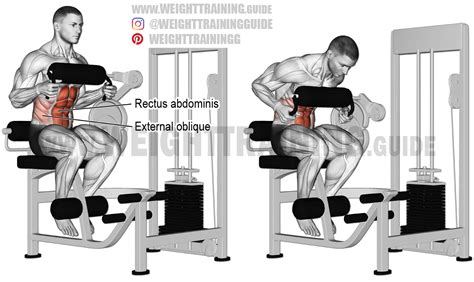 Machine Seated Crunch An Isolation Exercise Target Muscle Rectus