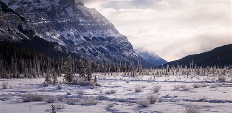 Snowy Alberta Canada Landscape Stock Photo Image Of Parkway