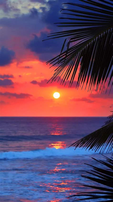The Sun Is Setting Over The Ocean With Palm Trees