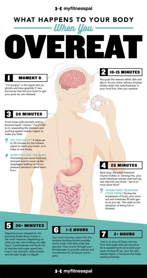 Feeling Extra Full Find Out What Happens To Your Body When You Overeat