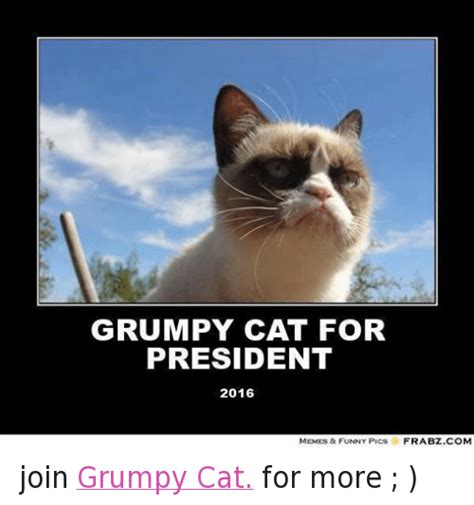 Funny Grumpy Cat Monday Memes Grumpy Cat