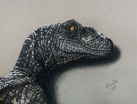 Velociraptor From Jurassic World Realistic Drawing Epic Drawings Pencil Art Drawings
