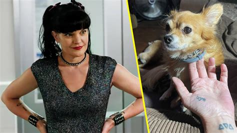 Pauley Perrette A ‘ncis Alum Has A New Twitter Strategy That Has Her