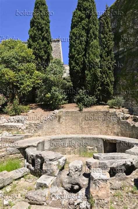 Bild Castellum, Nîmes, Frankreich - 557290 - Bilder von Pflanzen und ...