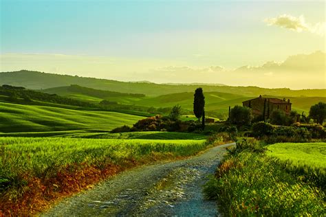 Italy Scenery Fields Grasslands Roads Tuscany Hills Nature