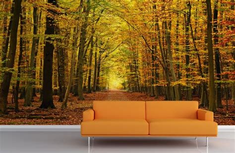 An Orange Couch Sitting In Front Of A Wall With Trees And Leaves On The