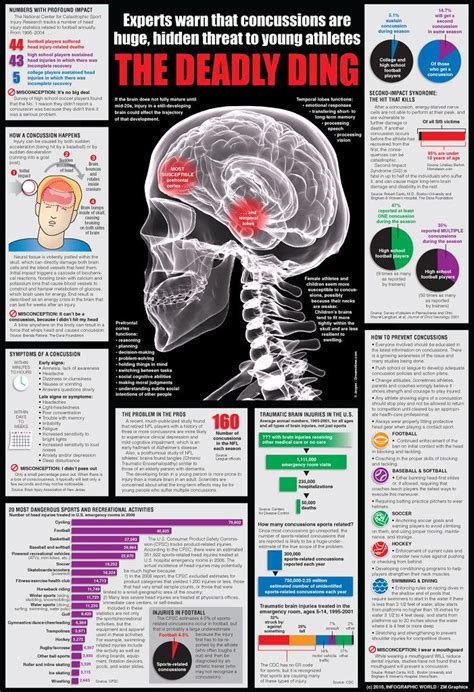 Concussion infographic in 2020 | Brain injury, Concussion ...