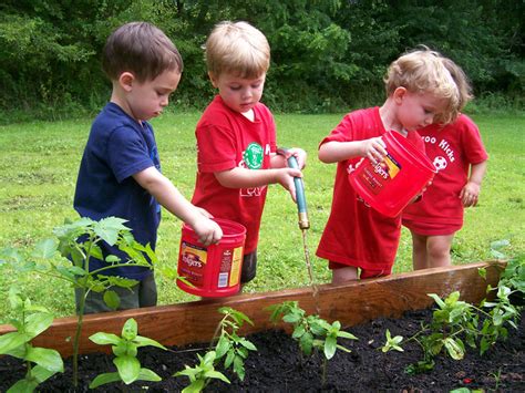 What Can Children Learn From Gardening Kangaroo Kids Childcare
