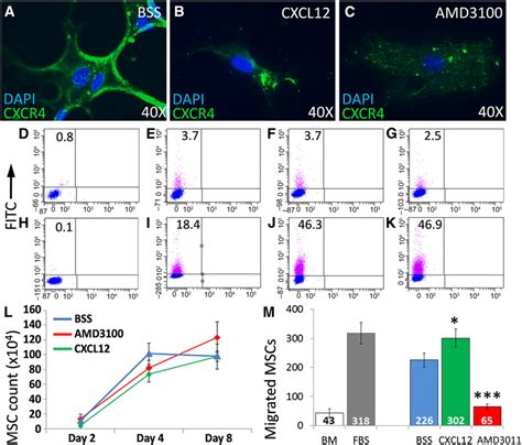 Cxcr Activity Modulation Alters Msc Chemotaxis Ex Vivo Without Adverse