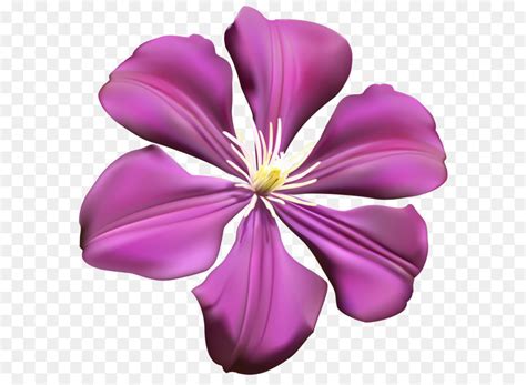 Purple Flower Purple Flower Transparent PNG Clip Art Image Png