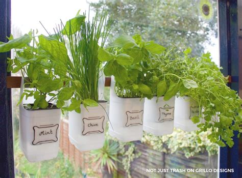 Indoor Bottle Herb Garden From Recycled Milk Bottles Grillo Designs
