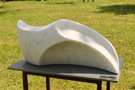 Tout sur dor hugi : Golven Carrara-marmer, door Hugo Van Herbruggen | Abstract ...