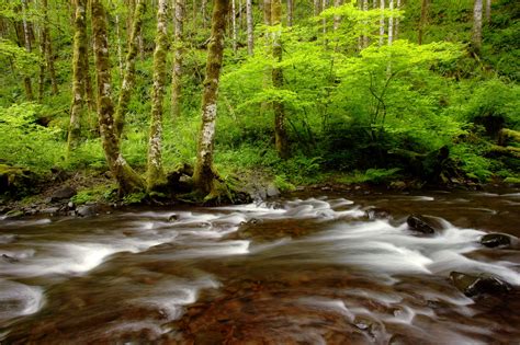 Nature 56.jpg | WallpaperGeeks.com