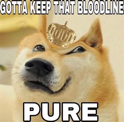 Gotta Keep That Bloodline Pure Ironic Doge Memes Know Your Meme