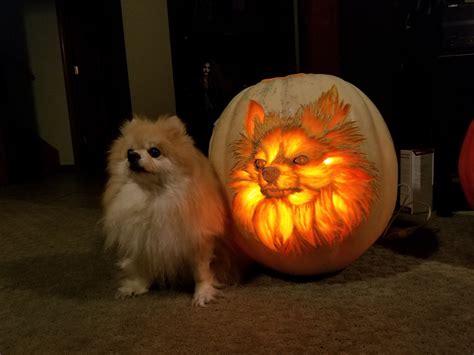 Dog O Lanterns Are The Best Jack O Lantern Trend Yet Dog Pumpkin
