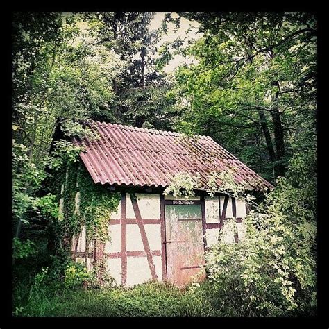 Hut In The Forest Photograph By Matthias Hauser