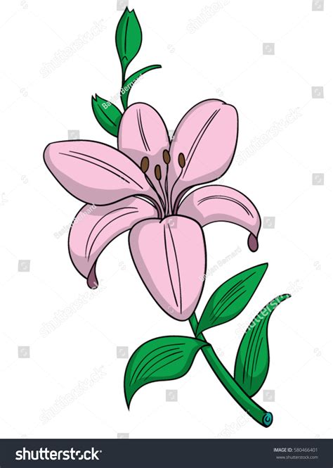 Cartoon Style Pink Lily Flower Stock Vector Royalty Free 580466401