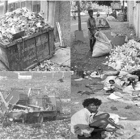 (PDF) Solidwaste Management and role of rag pickers