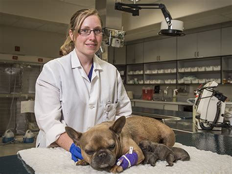 They offer products for dogs, cats and horses. | Kansas State University | News and Communications Services