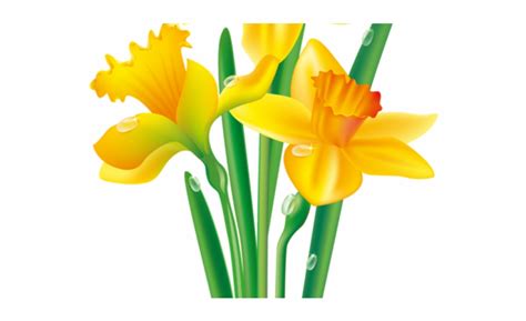 Daffodil Emoji Facebook